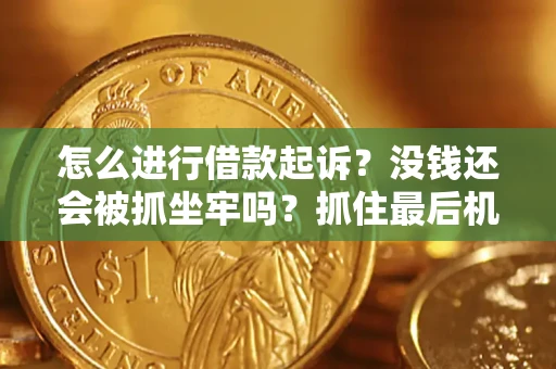 北京怎么进行借款起诉？没钱还会被抓坐牢吗？抓住最后机会！