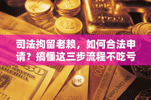 北京司法拘留老赖，如何合法申请？搞懂这三步流程不吃亏！