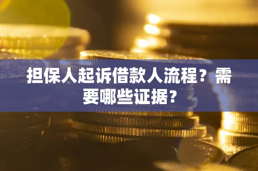北京担保人起诉借款人流程？需要哪些证据？